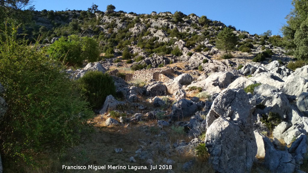 Cortijo del Raso - Cortijo del Raso. 