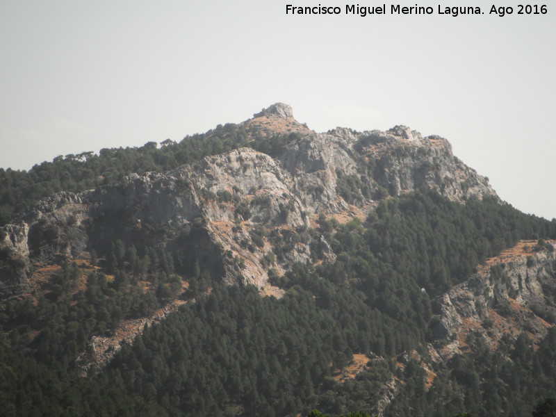 Cerro del Avellano - Cerro del Avellano. Desde la Majada de la Carrasca