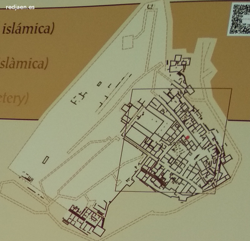 Lucentum. Necrpolis Islmica - Lucentum. Necrpolis Islmica. Situacin