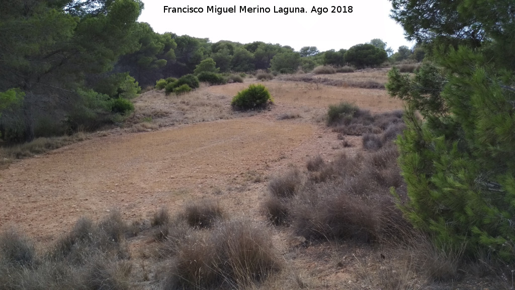 Casa de la Pinada - Casa de la Pinada. Tierras de cultivo