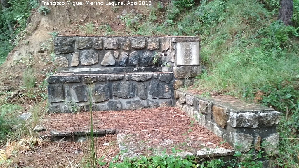 Fuente del Arroyo de las Gorgollitas - Fuente del Arroyo de las Gorgollitas. 