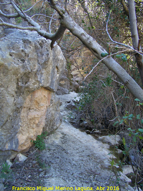 Zurren - Zurren. 