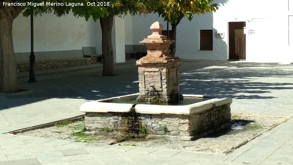 Fuente de la Plaza - Fuente de la Plaza. 