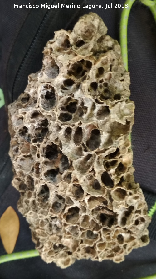 Cueva neoltica de los Corzos - Cueva neoltica de los Corzos. Piedra toba