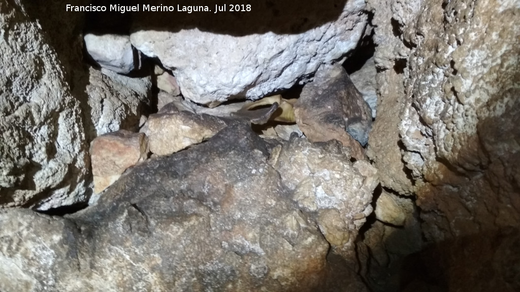 Cueva neoltica de los Corzos - Cueva neoltica de los Corzos. 