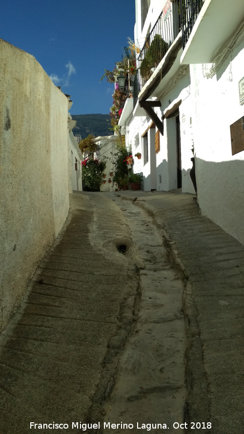 Calle Vieja - Calle Vieja. 