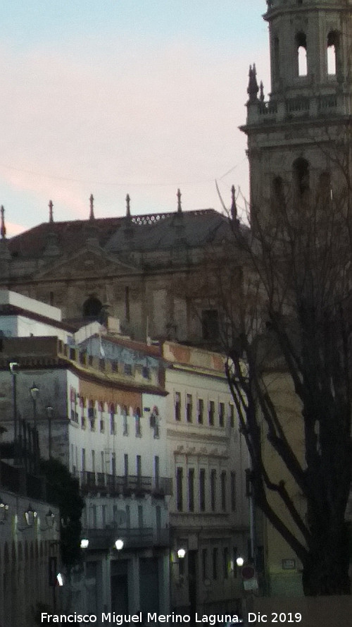 Catedral de Jan. Tejados - Catedral de Jan. Tejados. Arreglando el tejado