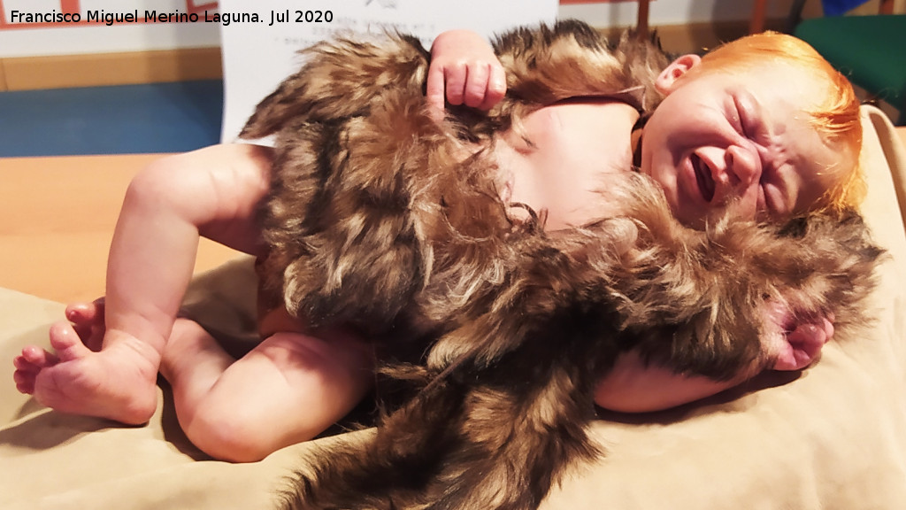 PaleoM�gina - PaleoM�gina. Beb� neandertal