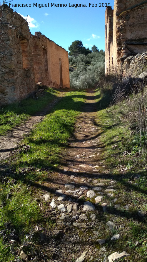 Aldea Los Perales - Aldea Los Perales. Calle