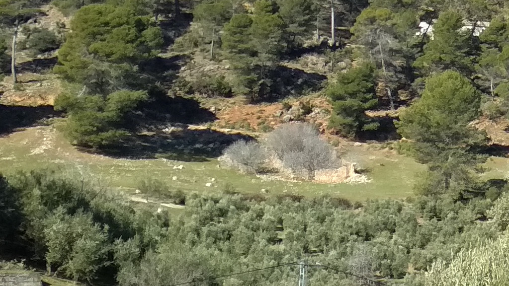 Cortijo El Monigote - Cortijo El Monigote. 