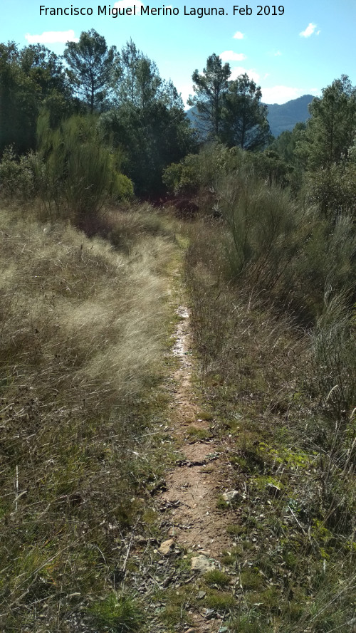 Camino del Chorren - Camino del Chorren. 