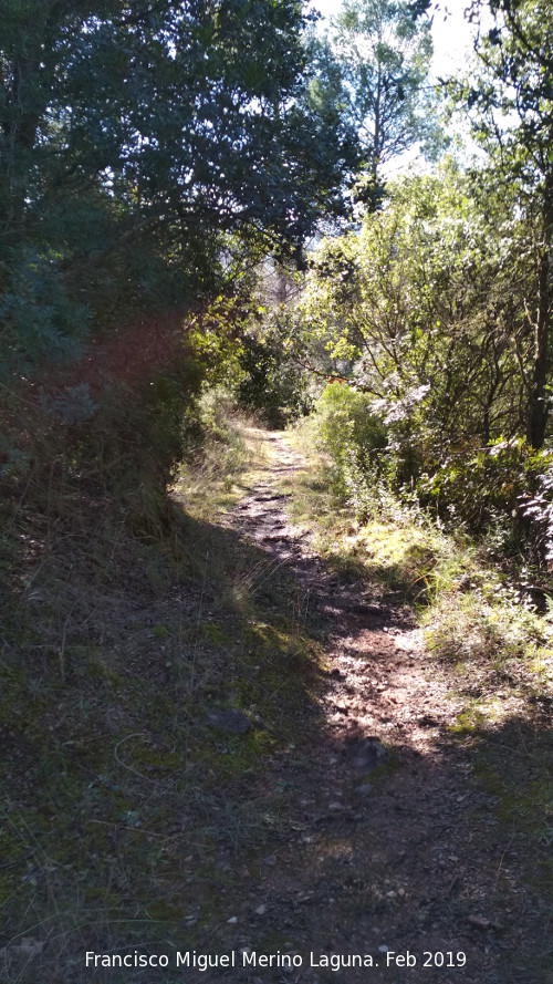 Camino del Chorren - Camino del Chorren. 