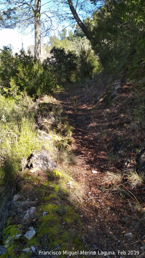 Camino del Chorren - Camino del Chorren. 