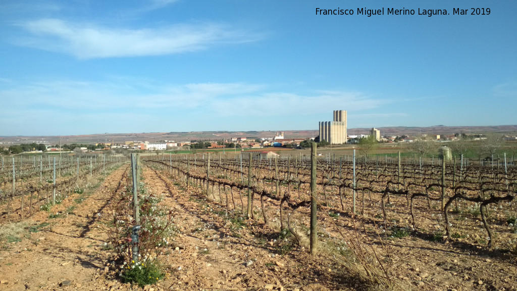 Vino de Cariena - Vino de Cariena. Viedos