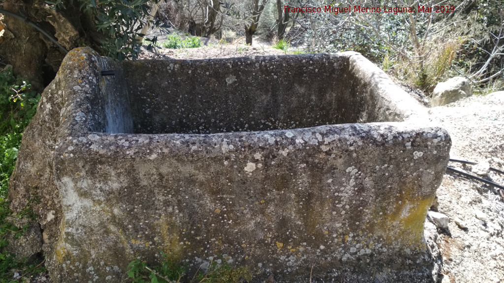 Fuente de Abajo de Don Pedro - Fuente de Abajo de Don Pedro. 