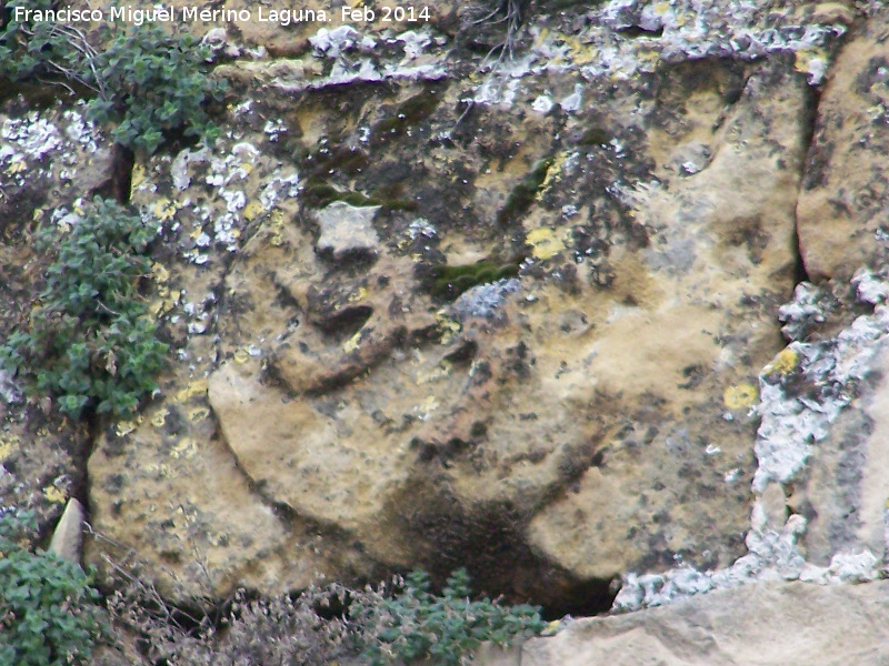 Torren Norte de la Puerta de Jan - Torren Norte de la Puerta de Jan. Escudo de Len