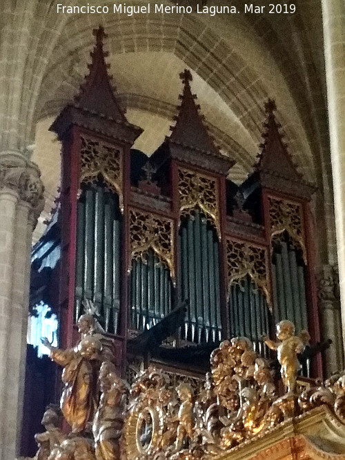 Catedral del Salvador. Coro - Catedral del Salvador. Coro. rgano