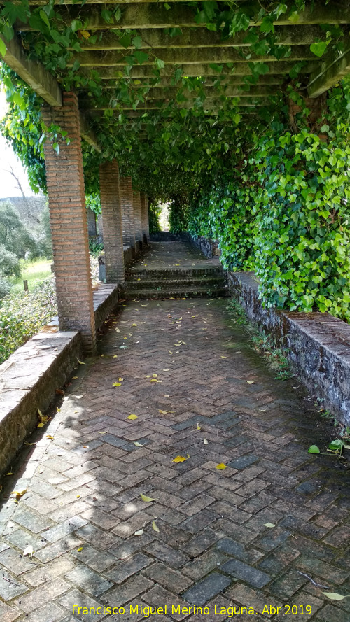 Mirador de la Avenida de las Minas - Mirador de la Avenida de las Minas. Paseo con prgola