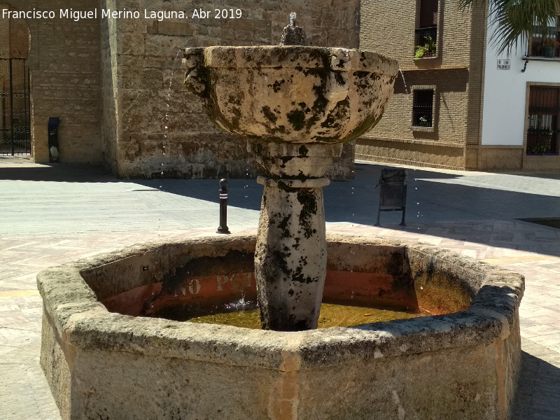 Fuente de la Plaza - Fuente de la Plaza. 