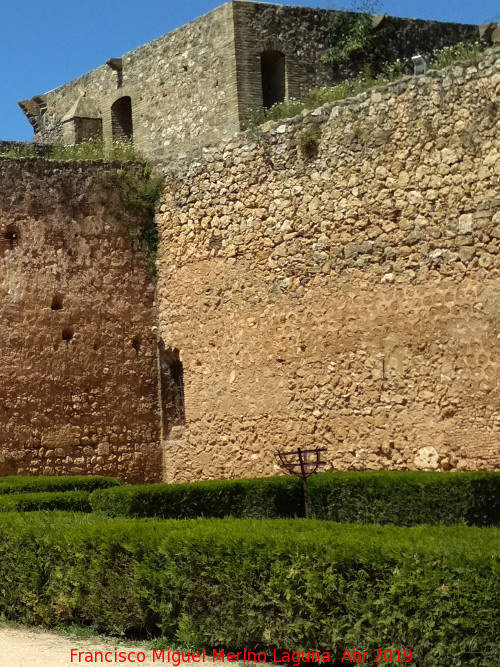 Castillo de los Guzmanes. Torre Noroeste - Castillo de los Guzmanes. Torre Noroeste. Intramuros