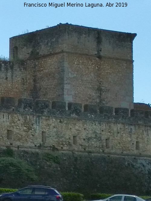 Castillo de los Guzmanes. Torre Noroeste - Castillo de los Guzmanes. Torre Noroeste. 