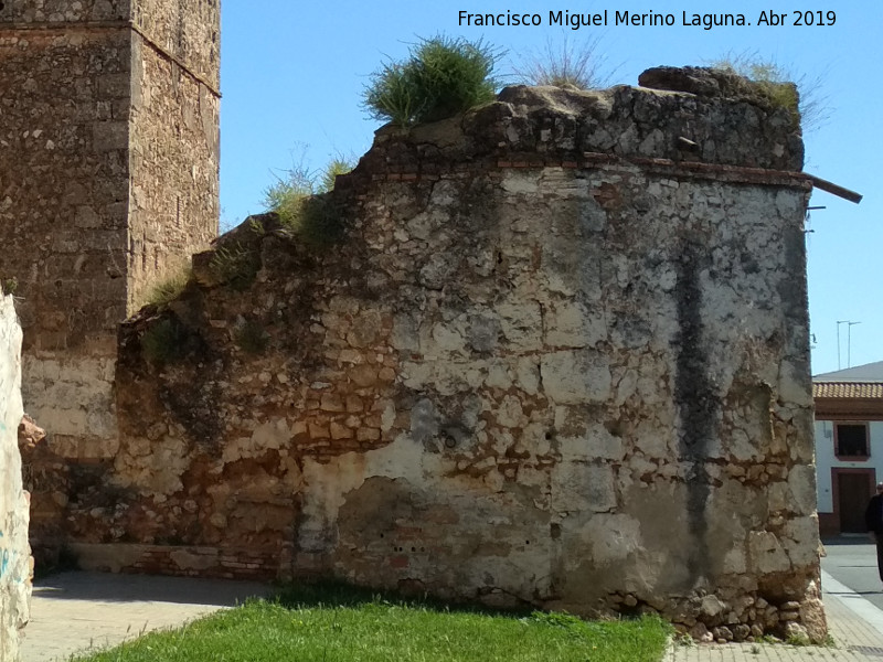 Castillo de los Guzmanes. Torre Sur II de la Barbacana - Castillo de los Guzmanes. Torre Sur II de la Barbacana. 