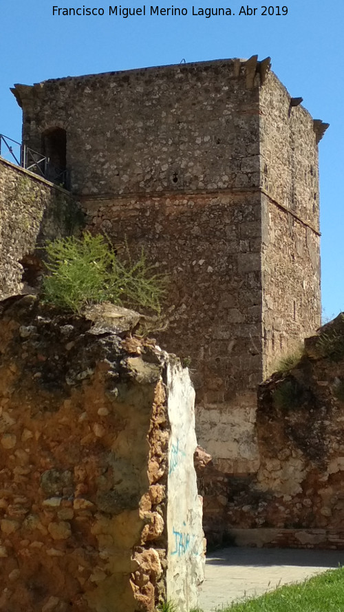 Castillo de los Guzmanes. Torre Sureste - Castillo de los Guzmanes. Torre Sureste. 