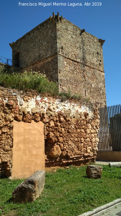 Castillo de los Guzmanes. Torre Sureste - Castillo de los Guzmanes. Torre Sureste. 