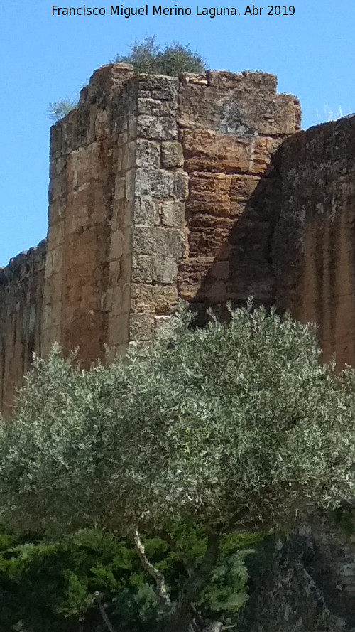 Muralla de Niebla. Torre Norte VI - Muralla de Niebla. Torre Norte VI. 