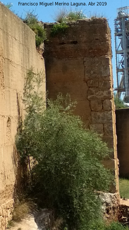 Muralla de Niebla. Torre Sur XV - Muralla de Niebla. Torre Sur XV. 