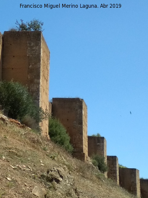 Muralla de Niebla. Torre Sur IX - Muralla de Niebla. Torre Sur IX. Situacin