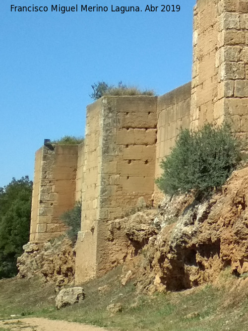 Muralla de Niebla. Torre Sur VIII - Muralla de Niebla. Torre Sur VIII. Situacin