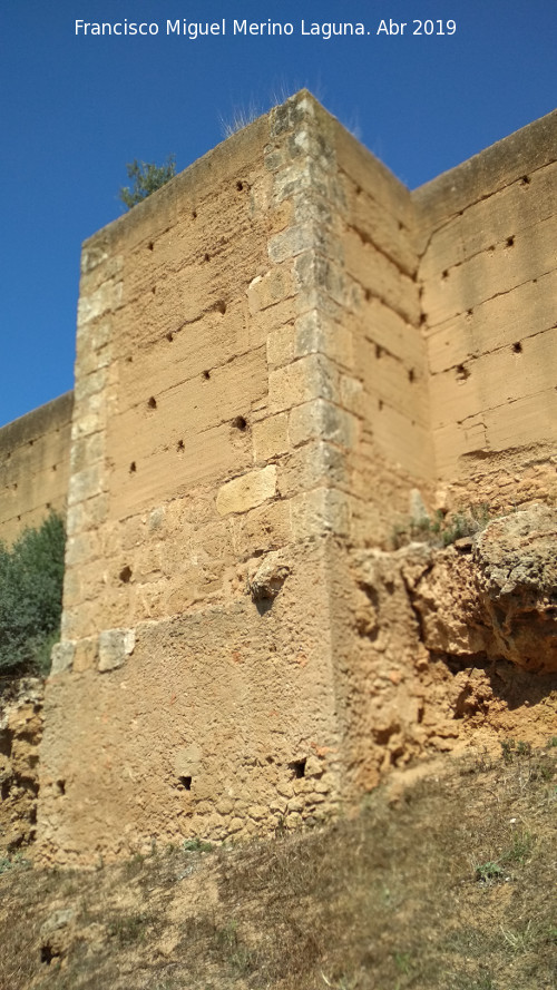 Muralla de Niebla. Torre Sur VIII - Muralla de Niebla. Torre Sur VIII. 