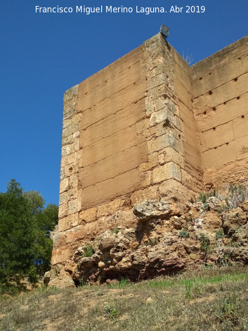 Muralla de Niebla. Torre Sur VII - Muralla de Niebla. Torre Sur VII. 