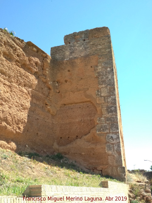 Muralla de Niebla. Torre Sur V - Muralla de Niebla. Torre Sur V. 