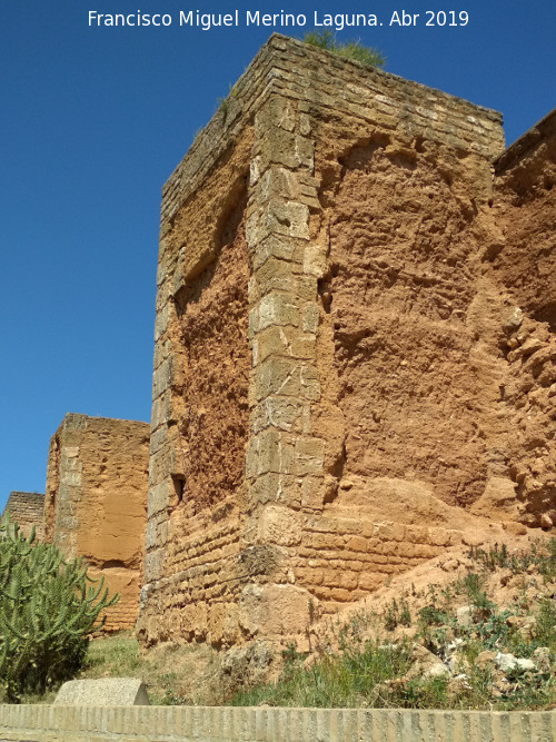 Muralla de Niebla. Torre Sur IV - Muralla de Niebla. Torre Sur IV. 