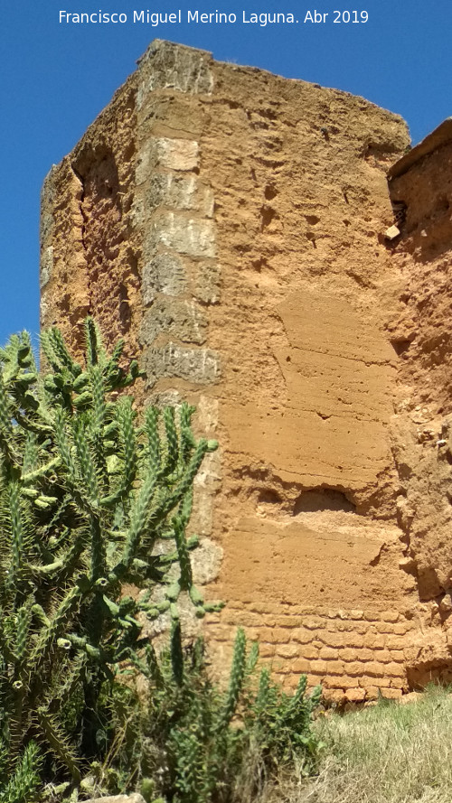 Muralla de Niebla. Torre Sur III - Muralla de Niebla. Torre Sur III. 