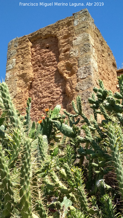 Muralla de Niebla. Torre Sur III - Muralla de Niebla. Torre Sur III. 