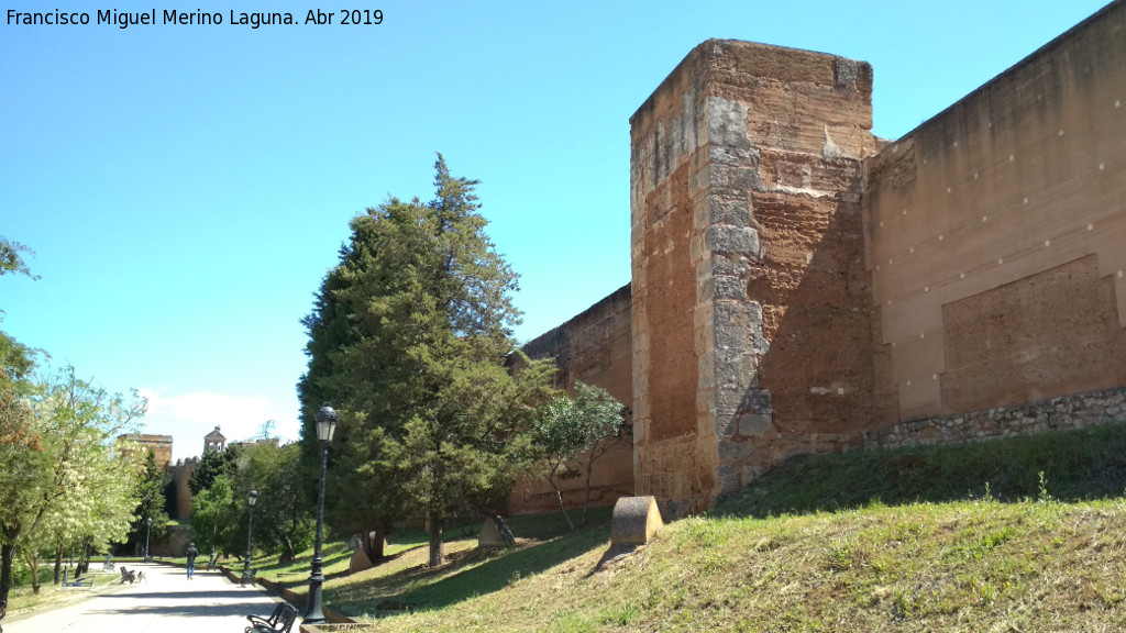 Muralla de Niebla. Torre Norte I - Muralla de Niebla. Torre Norte I. 