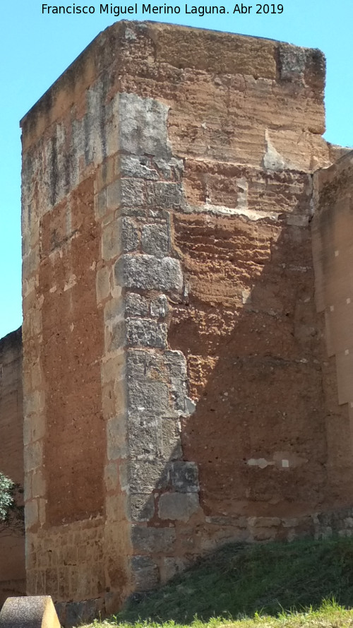 Muralla de Niebla. Torre Norte I - Muralla de Niebla. Torre Norte I. 