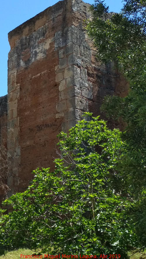 Muralla de Niebla. Torre Norte III - Muralla de Niebla. Torre Norte III. 