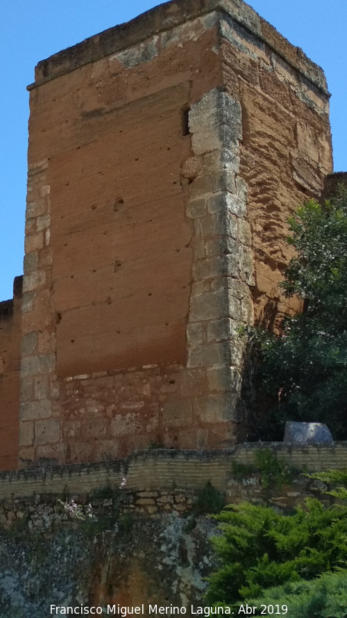 Muralla de Niebla. Torre Norte V - Muralla de Niebla. Torre Norte V. 