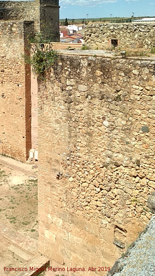 Castillo de los Guzmanes. Torre del Homenaje - Castillo de los Guzmanes. Torre del Homenaje. 