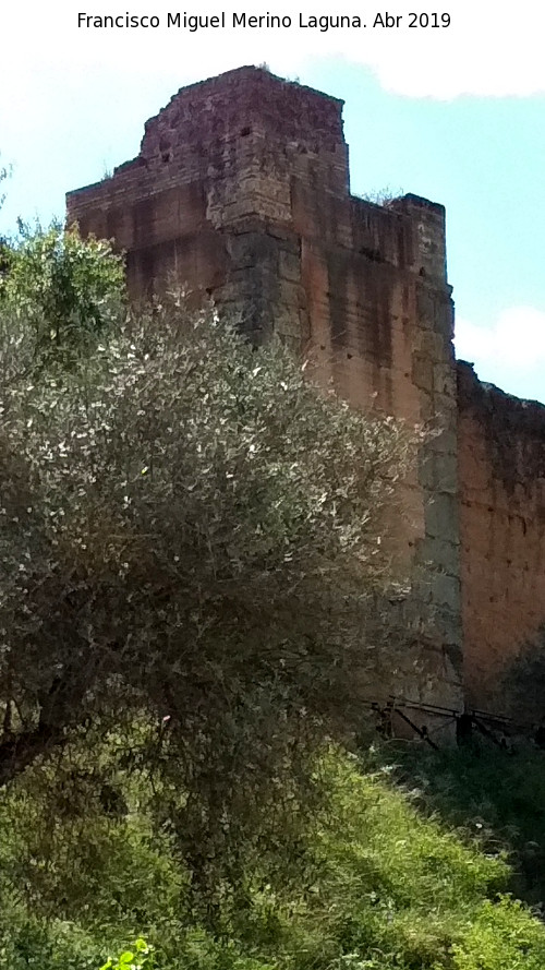 Muralla de Niebla. Torre Norte XI - Muralla de Niebla. Torre Norte XI. 