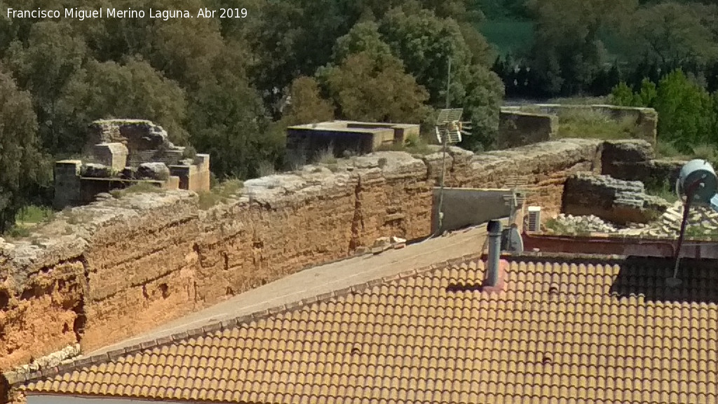 Muralla de Niebla. Torre Norte XII - Muralla de Niebla. Torre Norte XII. Situacin