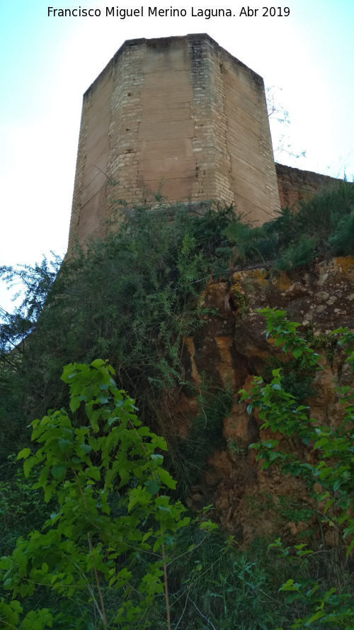 Muralla de Niebla. Torre Noreste - Muralla de Niebla. Torre Noreste. 