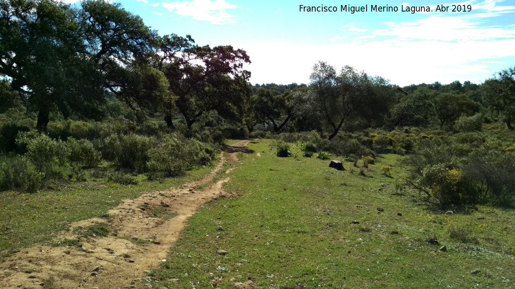 Camino del Peasquillo - Camino del Peasquillo. 