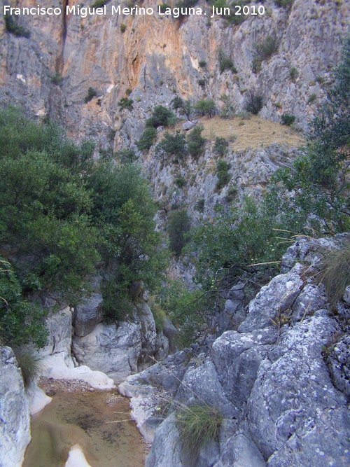 Arroyo Parrilla - Arroyo Parrilla. Cerca de su desembocadura en el ro Quiebrajano