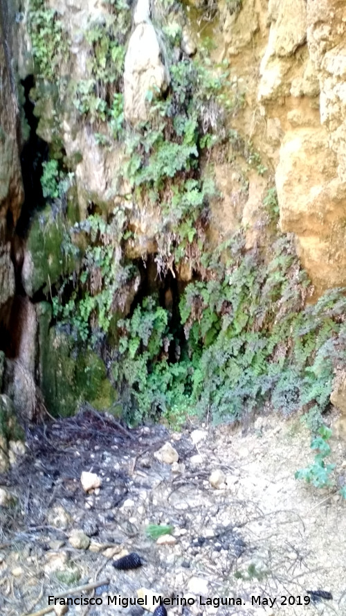 Cascada Quinta de la Hueta - Cascada Quinta de la Hueta. Cuevecilla