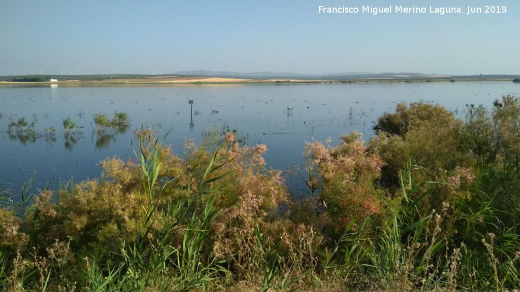 Laguna Dulce - Laguna Dulce. 